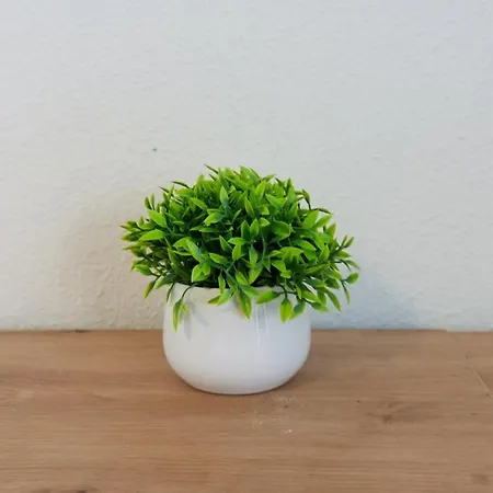 Lägenhet 4 Minuti Dalla - Elegante A